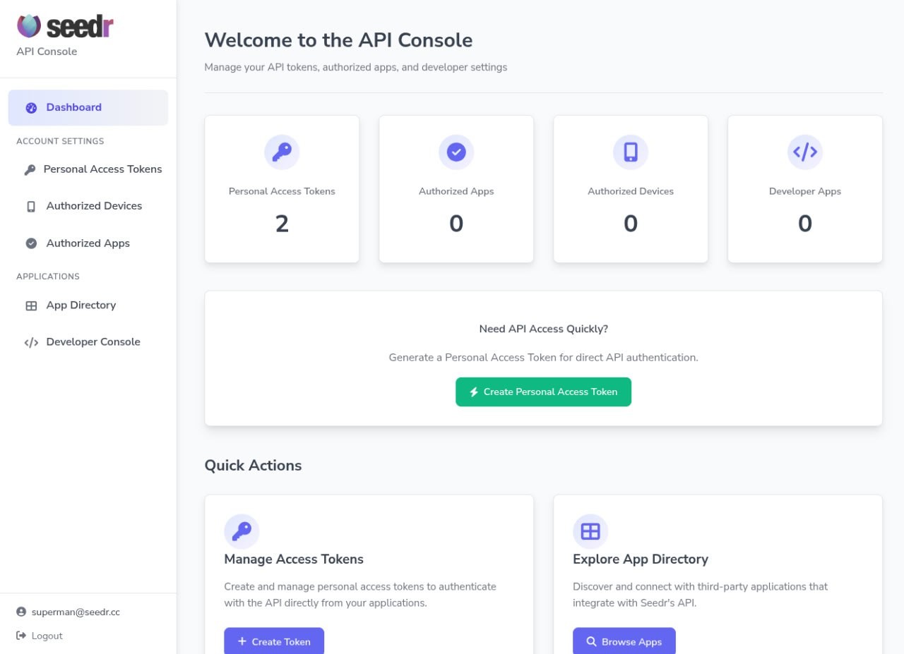 API console